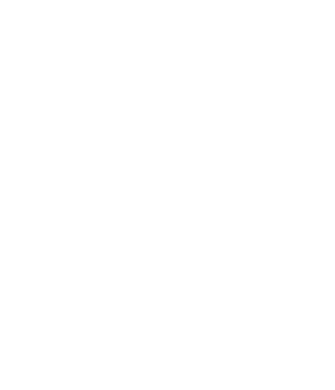 hausicon